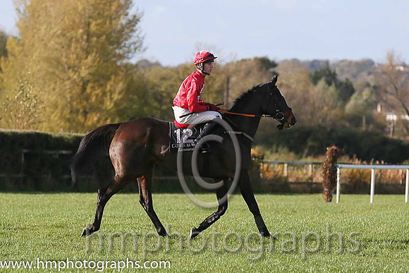 13th S He's Our Man ( 12 , red, white cross ) and Donagh Meyler (7) - Trainer : G.A. Kingston - Owner : Kangley Syndicate