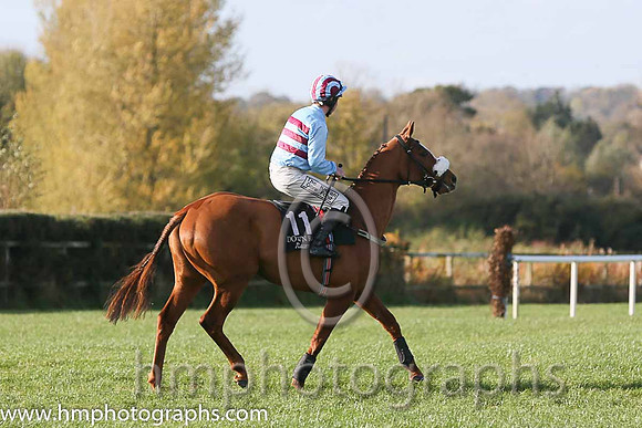 03rd Space Ship (GB) ( 11 , light blue, maroon hoops ) and A.E. Lynch - Trainer : Robert Alan Hennessy - Owner : W. Hennessy
