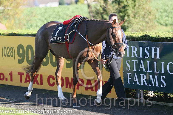 03rd Shadow Catcher (GB) ( 7 , dark blue, yellow diamond ) and K.C. Sexton - Trainer : Gordon Elliott - Owner : Mrs P Sloan
