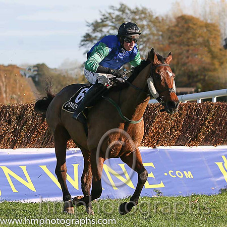 06th Raydari (FR) ( 6 , blue, green sleeves, black cap ) and M.P. Fogarty - Trainer : R. K. Watson - Owner : R. K. Watson