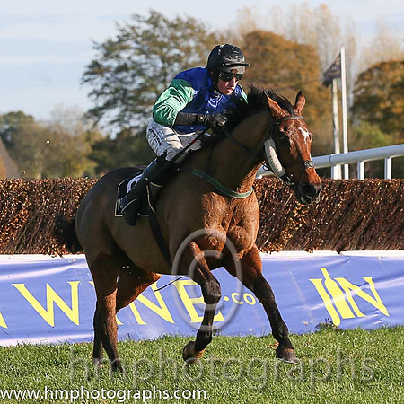 06th Raydari (FR) ( 6 , blue, green sleeves, black cap ) and M.P. Fogarty - Trainer : R. K. Watson - Owner : R. K. Watson
