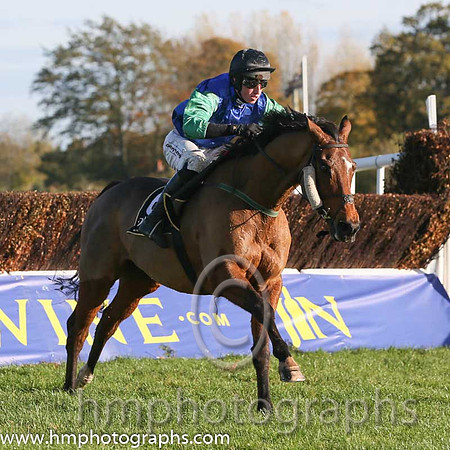 06th Raydari (FR) ( 6 , blue, green sleeves, black cap ) and M.P. Fogarty - Trainer : R. K. Watson - Owner : R. K. Watson