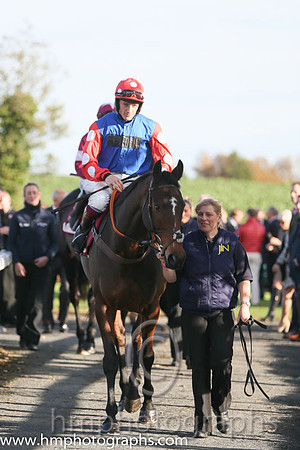 02nd Rocky Creek ( 2 , blue, red with white spots sleeves ) and Sam Twiston- Davies - Trainer : Paul Nicholls (in GB) - Owner : The Johnson  Stewart Families
