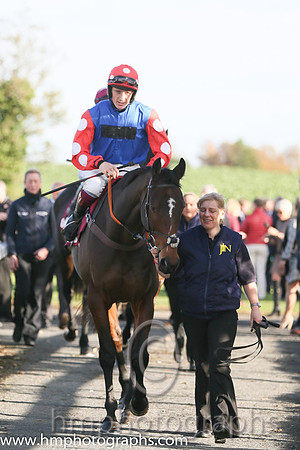 02nd Rocky Creek ( 2 , blue, red with white spots sleeves ) and Sam Twiston- Davies - Trainer : Paul Nicholls (in GB) - Owner : The Johnson  Stewart Families