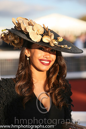 A glamorous spectator at Down Royal