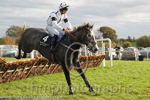 04th Slopestyle ( 4 , white ) and M.J. Bolger - Trainer : John C. McConnell - Owner : J. Scully