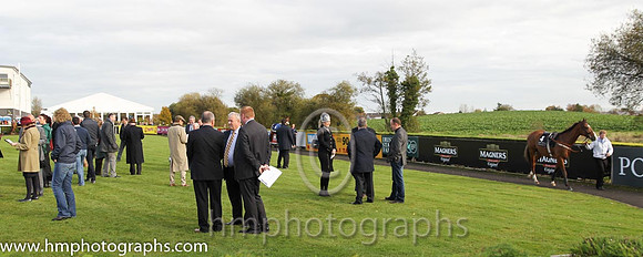 Parade Ring at Down Royal