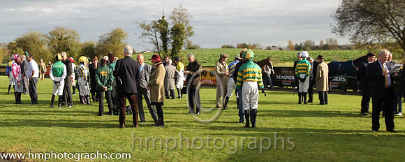 Parade Ring at Down Royal