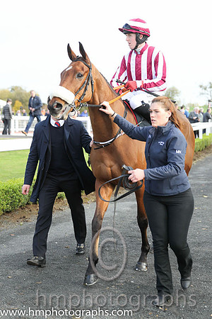 02nd Space Cadet ( 8 , red and white stripes ) and K.M. Donoghue - Trainer : Gordon Elliott - Owner : C.Jones