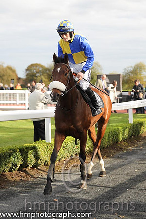 10th Improver ( 10 , blue  yellow qtrd ) and R. Walsh - Trainer : A.J.Martin - Owner : R.Jordan