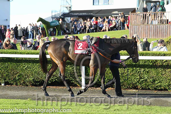 02nd Rocky Creek ( 2 , blue, red with white spots sleeves ) and Sam Twiston- Davies - Trainer : Paul Nicholls (in GB) - Owner : The Johnson  Stewart Families