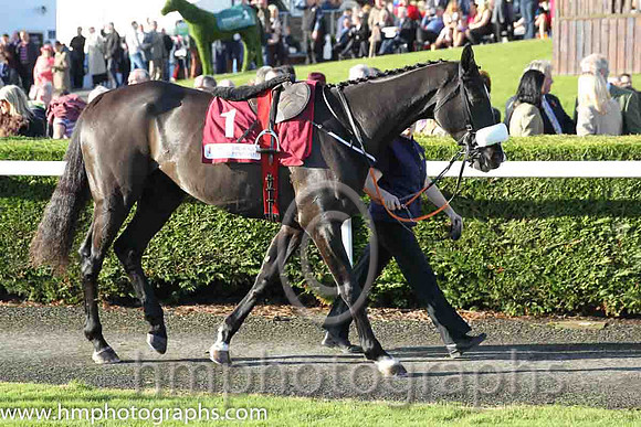 01st Don Cossack (GER) ( 1 , maroon, white hoop ) and B.J. Cooper - Trainer : Gordon Elliott - Owner : Gigginstown House Stud