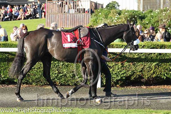01st Don Cossack (GER) ( 1 , maroon, white hoop ) and B.J. Cooper - Trainer : Gordon Elliott - Owner : Gigginstown House Stud