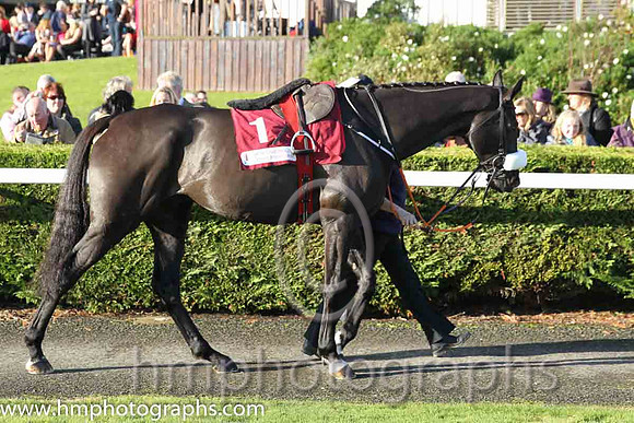 01st Don Cossack (GER) ( 1 , maroon, white hoop ) and B.J. Cooper - Trainer : Gordon Elliott - Owner : Gigginstown House Stud