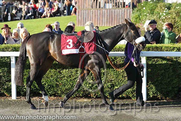 03rd Roi Du Mee (FR) ( 3 , maroon, white hoop ) and R. Walsh - Trainer : Gordon Elliott - Owner : Gigginstown House Stud