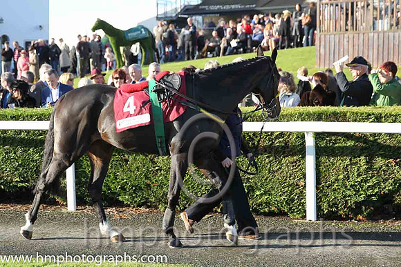04th Texas Jack ( 4 , orange, green chevrons ) and S.W. Flanagan - Trainer : Noel Meade - Owner : Robert Watson