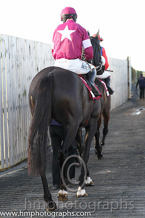 01st Don Cossack (GER) ( 1 , maroon, white hoop ) and B.J. Cooper - Trainer : Gordon Elliott - Owner : Gigginstown House Stud