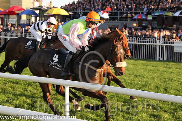 08th Paper Lantern ( 4 , green, blue sash ) and J.C. Barry (5) - Trainer : Karl Thornton - Owner : Slainte To John Syndicate