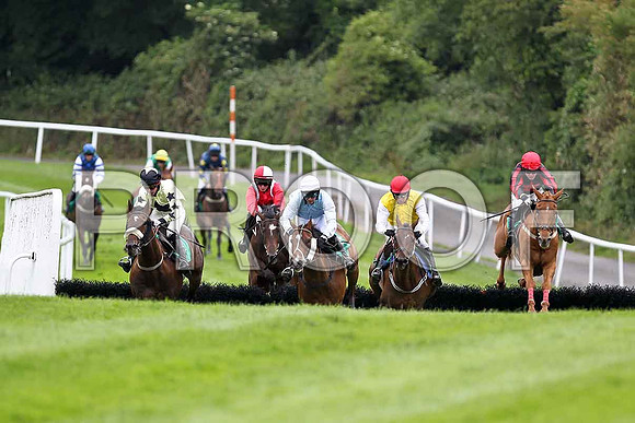 Glen Orchy lad, Perfect Buttons, Fleeting Moment , Golden Grimshaw , Turner Brown - FT8E1647-e