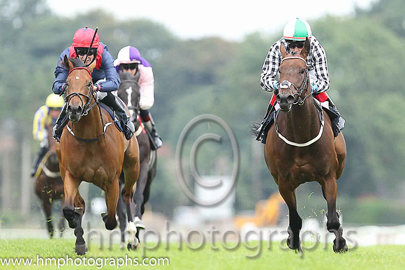 02nd Kotonic ( 5 , dark blue, red epaulettes ) and S.B. Kelly (3) - Trainer : M.D. O'Callaghan - Owner : Michael O'Callaghan
