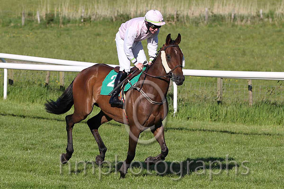 12 Dont Panic & C M Walsh - 12th (2, pink, white sleeves) - FT8E6032-24