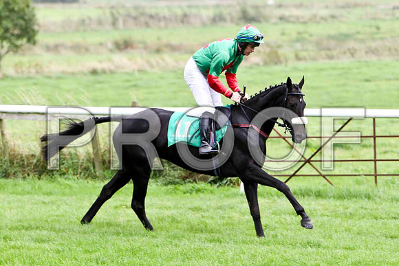 According To Rose , Jockey S E Butler - 9th - CU2D2339-e