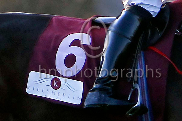 Number 6 - Killyhevlin Hotel - The Sponsor - FT8E6727-e-11by8