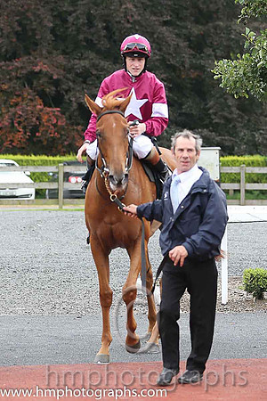 01st Flirt ( 3 , maroon, white star ) and G.P. Halpin (5) - Trainer : David Wachman - Owner : Gigginstown House Stud