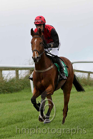 Garlough , Jockey andrew J McNamara - Unseated Rider - CU2D2214-e