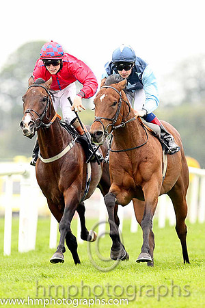 01st Downforce ( 2 , dark blue, light blue stars ) and D.P. McDonogh - Trainer : W. McCreery - Owner : Mrs A.M. Burns