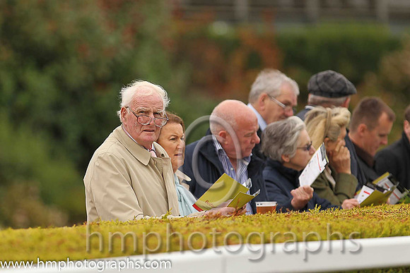 Spectators at Down Royal