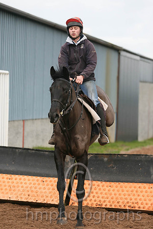 Westerner Filly and Connor Strain - AA1V2731
