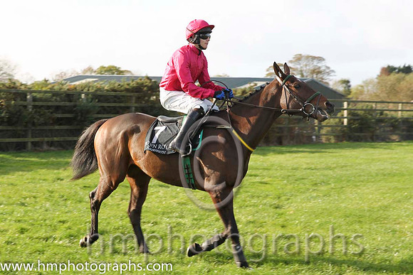 09 Didntitellya & P Townend - 9th (7, cerise ) - CU2D8806-4