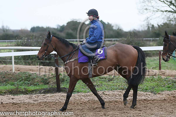 Mala Beach and Emily McMahon at the Leopardstown  Horse Racing Ireland launch of the Christmas Festival at Gordon Elliot's yard