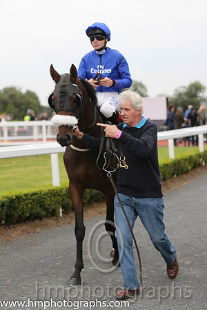 05th Griko ( 4 , royal blue ) and P.J. Smullen - Trainer : D. K. Weld - Owner : Godolphin