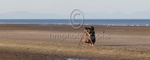 Laytown Races - FT8E1108-28