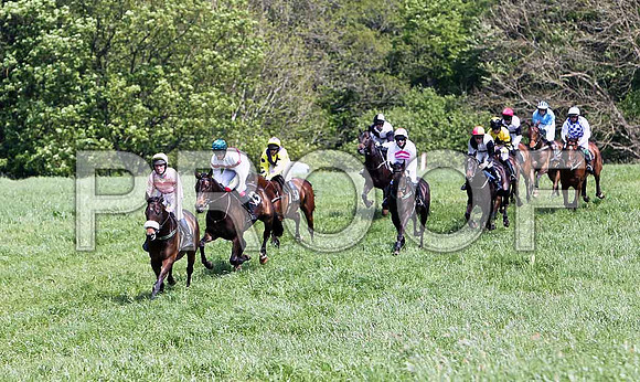 First Race - Spice Hill (17) the winner, leads the field - CU2D9525-e