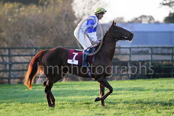 Evening Wolf , 7th Jockey Mr P J Casey - FT8E6730-e