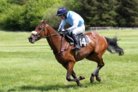 2013/06/01st Race 2 The Fermanagh Harriers Hunt Point to Point Steeplechases at Necarne