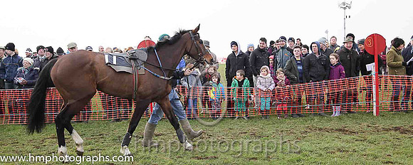03rd GLEBE HARMONY and B O'Neill ( 11 , DARK BLUE; light blue, plain sleeves; dark blue  light blue striped cap ) Trainer: Mrs Prunella Dobbs,, Owner : John Quane