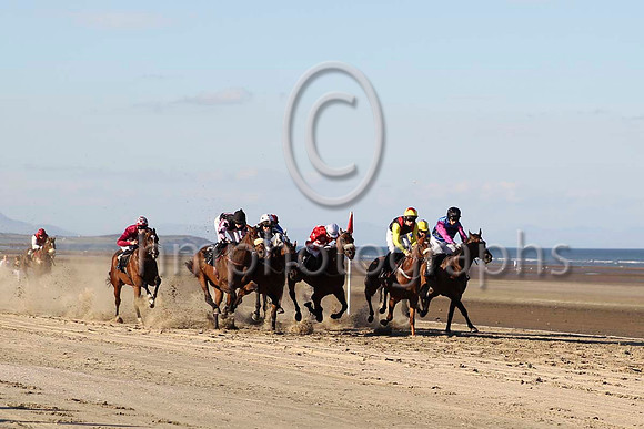 04 Strait of Zanzibar & Mr P W Mullins - 4th (1,royal blue and black chevrons ) - CU2D0761-16