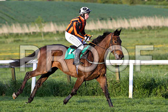 Alabama Baby , 6th, Jockey - Mr J P McKeown - FT8E3135-e