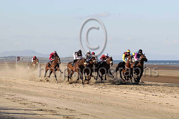 04 Strait of Zanzibar & Mr P W Mullins - 4th (1,royal blue and black chevrons ) - CU2D0758-13