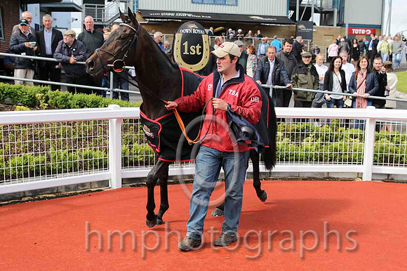 01 Sir Ector & C D hayes - winner (7, pink, dark blue and pink striped cap) - FT8E6358-21