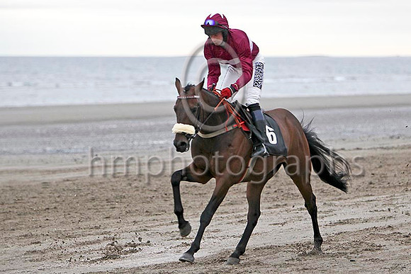 Benedict Spirit , 10th Jockey Mr D Murphy  - FT8E4431-e