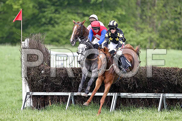 Fifth Race Div 1 - Fifth Race Div 1 - The Lady in Grey (38) Fell, Rider Derek O'Connor & Hairy Nostrils (1) PU, Rider B O'Neill - FT8E0374-e