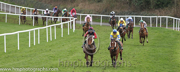 01 Hidden Horizons & P Carberry - winners (11, yellow, blue & yellow hooped sleeves ) & 02 Unoccupied & P T Enright - 2nd (9, blue, red sleeves) - - FT8E4398-31