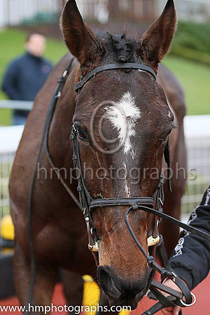 01 Venitien De Mai (FR) ( 7 , emerald green ) and J.J. Codd - Trainer : J.T.R.Dreaper - Owner : Ann  Alan Potts Partnership