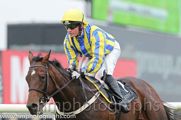 07th Relentless Spirit ( 7 , royal blue and yellow stripes ) and J.A. Heffernan - Trainer : Sarah Dawson - Owner : Dr. J.F. Dawson