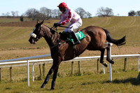 2013/04/03rd  - Race 1 The Bet at Toals Bookmakers on Course SP Shop Maiden Hurdle of 7,500 Euro at Downpatrick Race Course